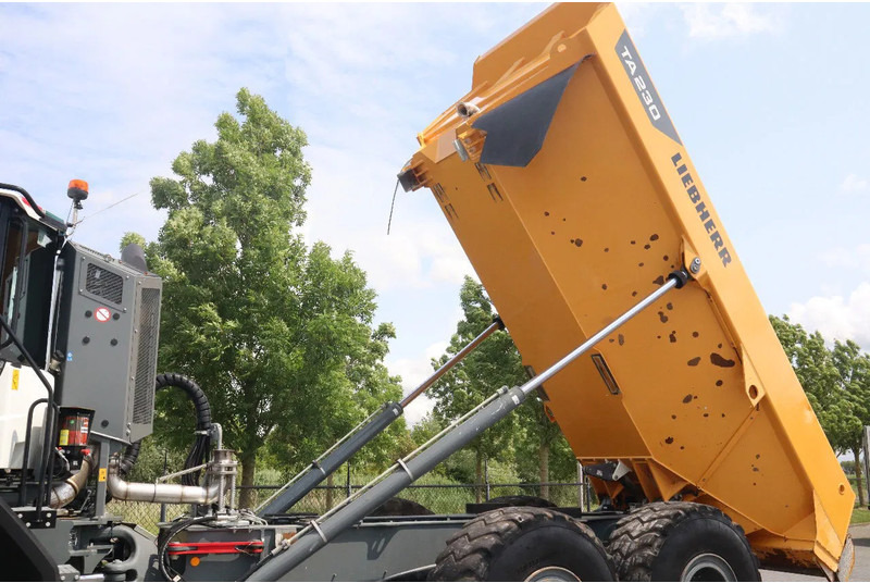 Liebherr TA230 | TAILGATE | GOOD CONDITION leasing Liebherr TA230 | TAILGATE | GOOD CONDITION: obrázek 7