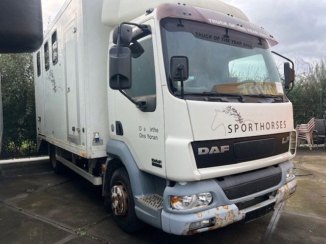 DAF LF 180 FA45.180 LF - Skříňový nákladní auto: obrázek 2 DAF LF 180 FA45.180 LF - Skříňový nákladní auto: obrázek 2