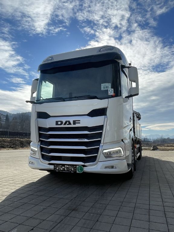 Nový Nákladní automobil valníkový/ Plošinový, Auto s hydraulickou rukou DAF XF 480 FAN Kranwagen: obrázek 10