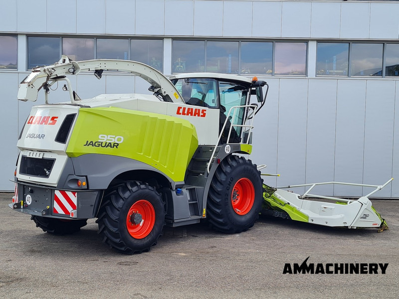 Claas Jaguar 950 4WD - Sklízecí řezačka: obrázek 5 Claas Jaguar 950 4WD - Sklízecí řezačka: obrázek 5