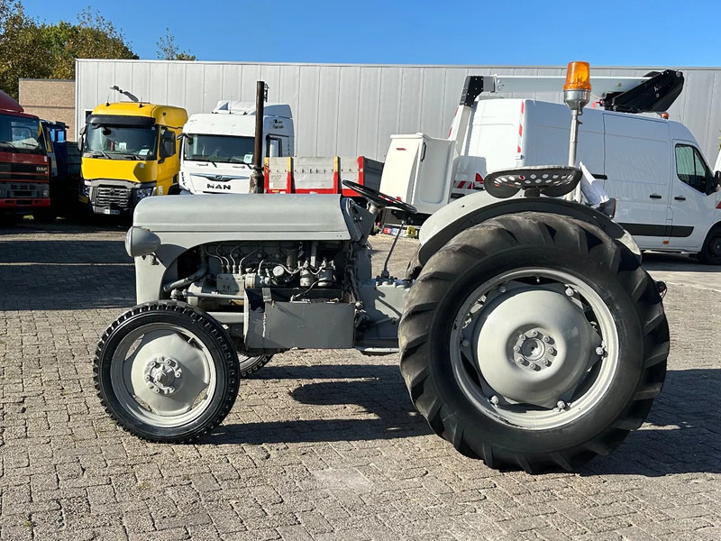 Diversen FERGUSON tractor - Traktor: obrázek 1 Diversen FERGUSON tractor - Traktor: obrázek 1
