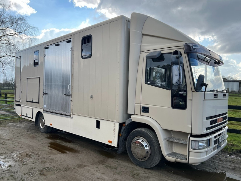 Iveco 120E18 - 3 HORSES - MANUAL - STEEL SUSPENSION - Auto na přepravu koní: obrázek 2 Iveco 120E18 - 3 HORSES - MANUAL - STEEL SUSPENSION - Auto na přepravu koní: obrázek 2