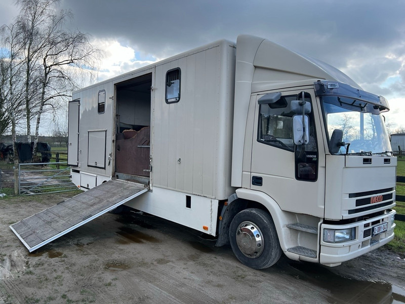 Iveco 120E18 - 3 HORSES - MANUAL - STEEL SUSPENSION - Auto na přepravu koní: obrázek 1 Iveco 120E18 - 3 HORSES - MANUAL - STEEL SUSPENSION - Auto na přepravu koní: obrázek 1