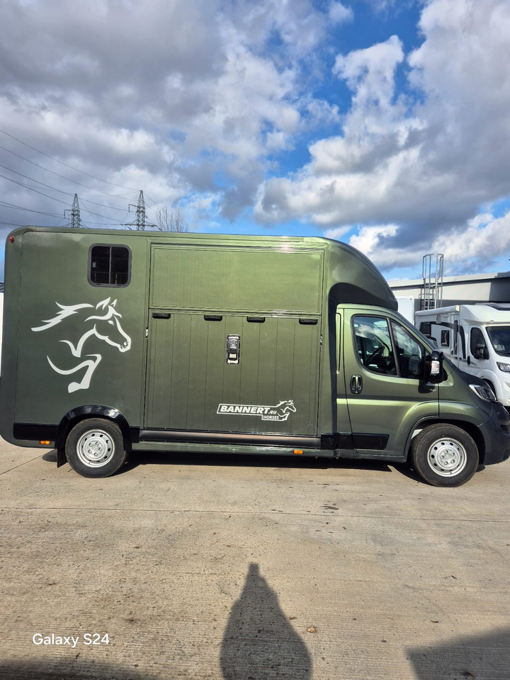 Opel Bannert Koniowoz / Horse Truck / In Stock - Auto na přepravu koní: obrázek 4 Opel Bannert Koniowoz / Horse Truck / In Stock - Auto na přepravu koní: obrázek 4