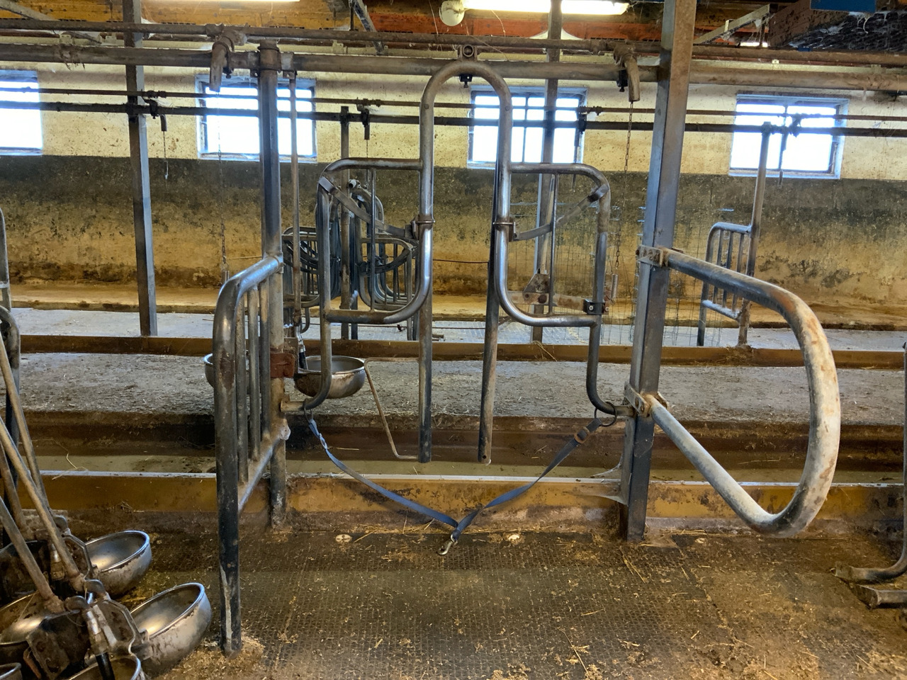 DeLaval Fokus - Zařízení pro chov skotu: obrázek 1 DeLaval Fokus - Zařízení pro chov skotu: obrázek 1