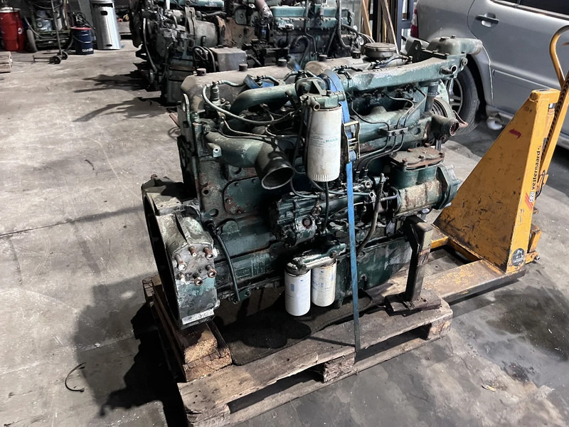 DAF DHU 825 meerdere op voorraad - Motor pro Nákladní auto: obrázek 2 DAF DHU 825 meerdere op voorraad - Motor pro Nákladní auto: obrázek 2