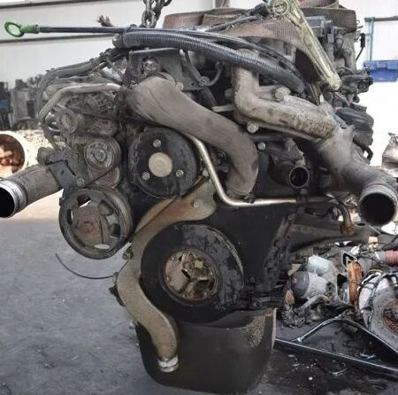 MAN D0836LFL65 MAN TGL TGM - Motor pro Nákladní auto: obrázek 1 MAN D0836LFL65 MAN TGL TGM - Motor pro Nákladní auto: obrázek 1