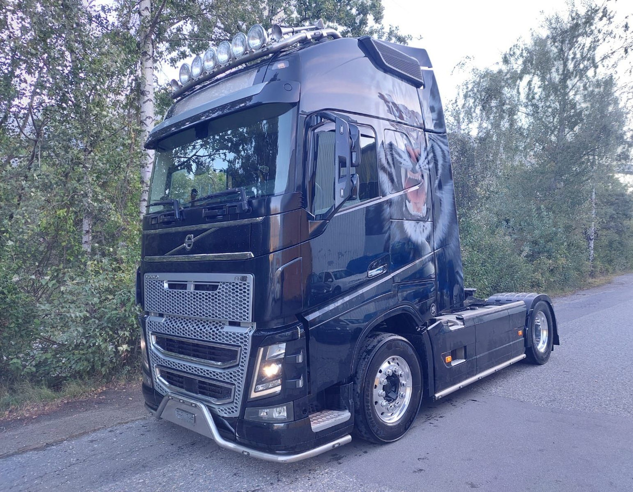 Volvo FH16-650 4x2, Euro 6, VEB, airbrush - Tahač: obrázek 1 Volvo FH16-650 4x2, Euro 6, VEB, airbrush - Tahač: obrázek 1