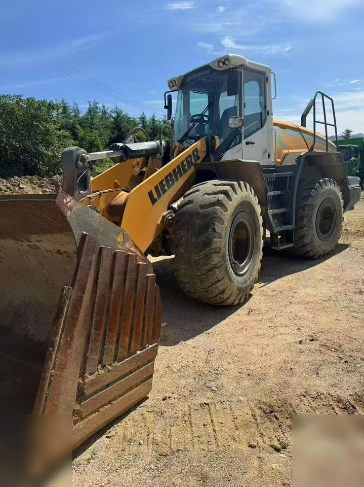 2020 LIEBHERR L550 - Kolový nakladač: obrázek 1 2020 LIEBHERR L550 - Kolový nakladač: obrázek 1