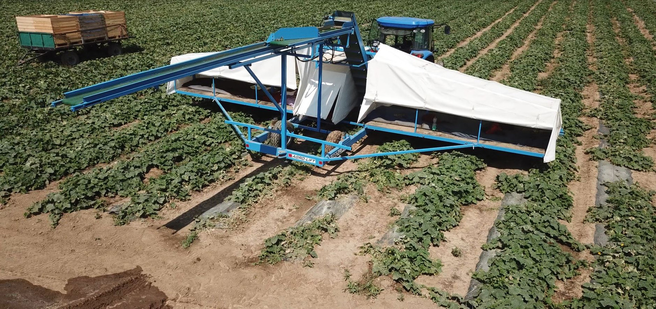 AGRO-LIFT Kombajn do ogórków - Kombajn: obrázek 3 AGRO-LIFT Kombajn do ogórków - Kombajn: obrázek 3