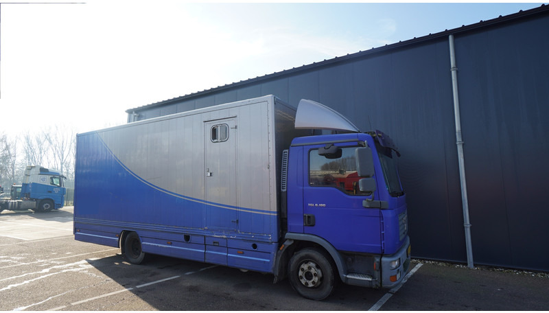 MAN TGL 8.180 HORSE TRANPORT 515.000KM - Auto na přepravu koní: obrázek 4 MAN TGL 8.180 HORSE TRANPORT 515.000KM - Auto na přepravu koní: obrázek 4