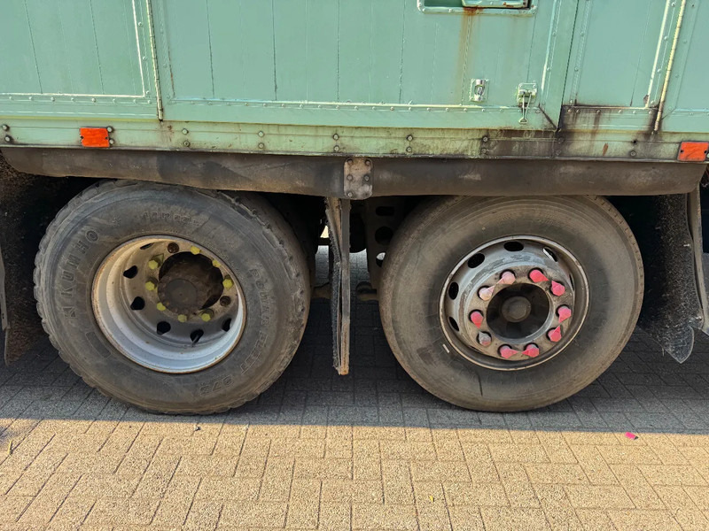 Skříňový nákladní auto MAN 25.322 **BELGIAN TRUCK-: obrázek 12