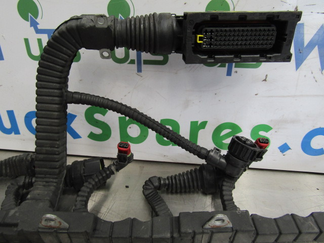 DAF XF 105 PACCAR INJECTOR/ECU HARNESS P/NO 1696501/00 - Elektrický systém pro Nákladní auto: obrázek 2 DAF XF 105 PACCAR INJECTOR/ECU HARNESS P/NO 1696501/00 - Elektrický systém pro Nákladní auto: obrázek 2