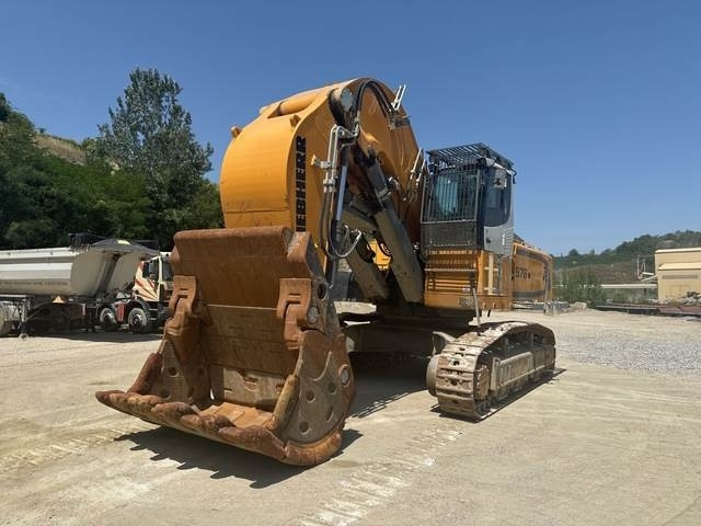 Liebherr R976 HD - Pásové rýpadlo: obrázek 1 Liebherr R976 HD - Pásové rýpadlo: obrázek 1