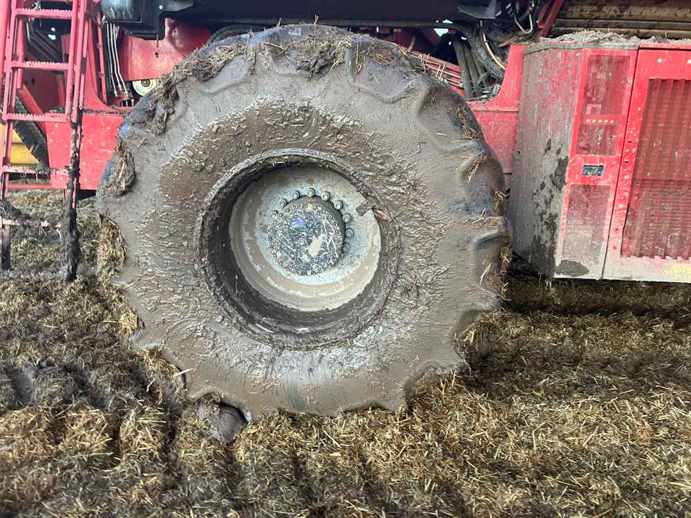 Grimme VARITRON 270 PLATINUM TT - Kombajn: obrázek 5 Grimme VARITRON 270 PLATINUM TT - Kombajn: obrázek 5