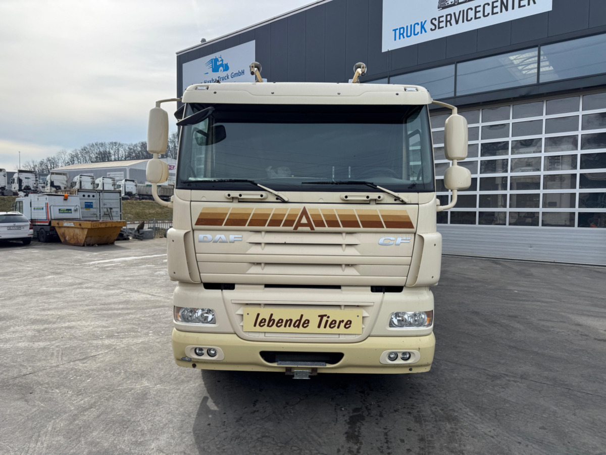 DAF CF410 4x2 - Přepravník zvířat: obrázek 2 DAF CF410 4x2 - Přepravník zvířat: obrázek 2