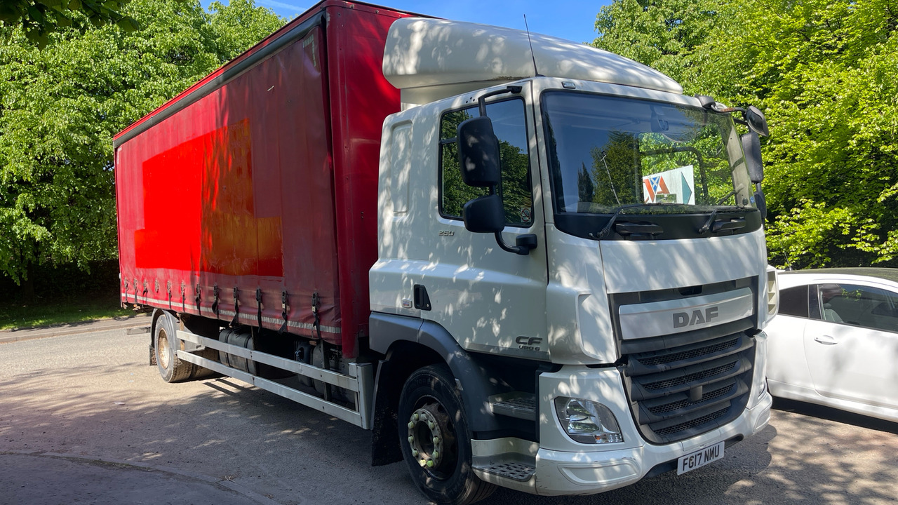 DAF CF 260 - Plachtový nákladní auto: obrázek 1 DAF CF 260 - Plachtový nákladní auto: obrázek 1