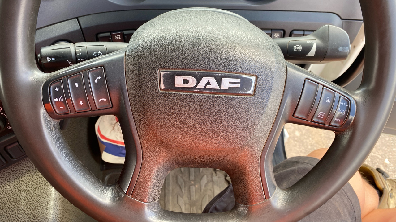 Nákladní automobil valníkový/ Plošinový, Auto s hydraulickou rukou DAF CF 460: obrázek 18