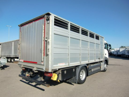 MAN TGS 18.420 Tiertransporter,Euro 6, Manual Seilwinde, el. Ladebordwand Voll Luft - Auto na přepravu koní: obrázek 4 MAN TGS 18.420 Tiertransporter,Euro 6, Manual Seilwinde, el. Ladebordwand Voll Luft - Auto na přepravu koní: obrázek 4