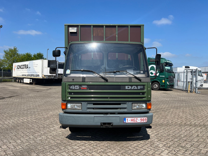 DAF 45.160 - Auto na přepravu koní: obrázek 2 DAF 45.160 - Auto na přepravu koní: obrázek 2