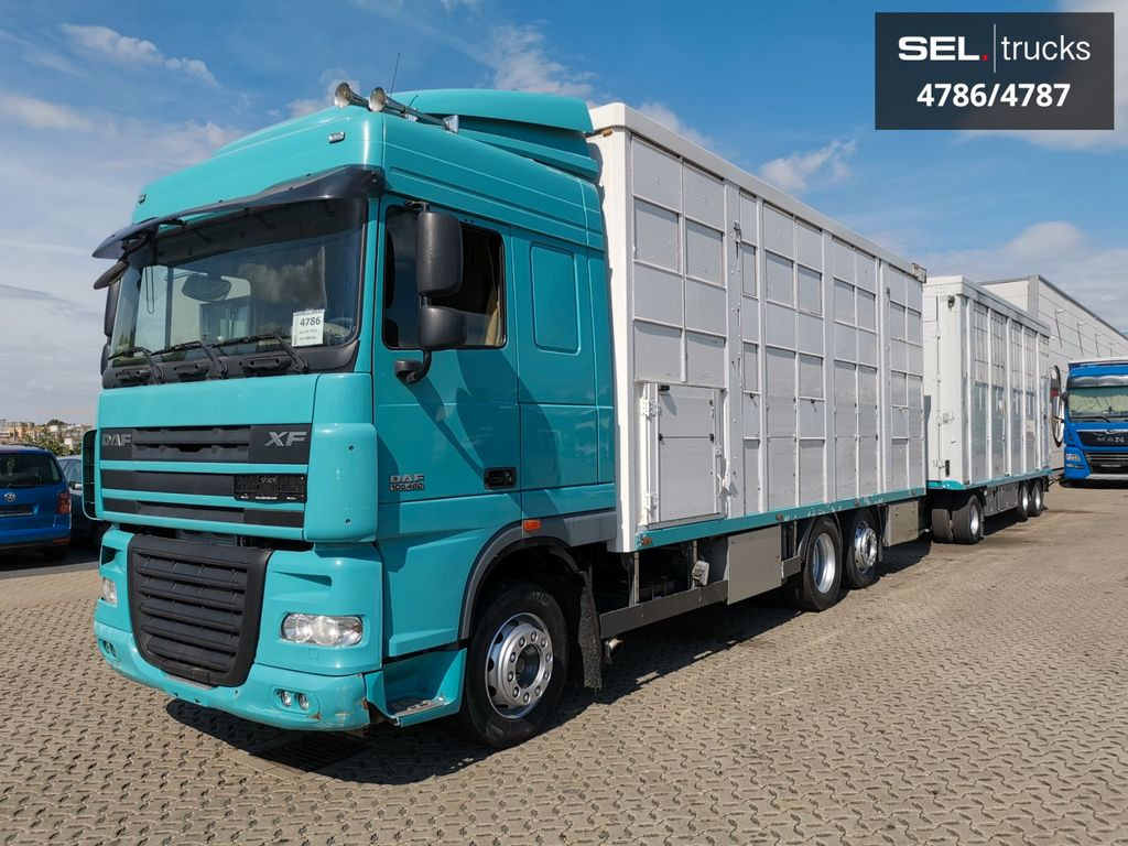 DAF XF 105.460 / Intarder / 4 Stock / KOMPLETT ! - Přepravník zvířat: obrázek 2 DAF XF 105.460 / Intarder / 4 Stock / KOMPLETT ! - Přepravník zvířat: obrázek 2
