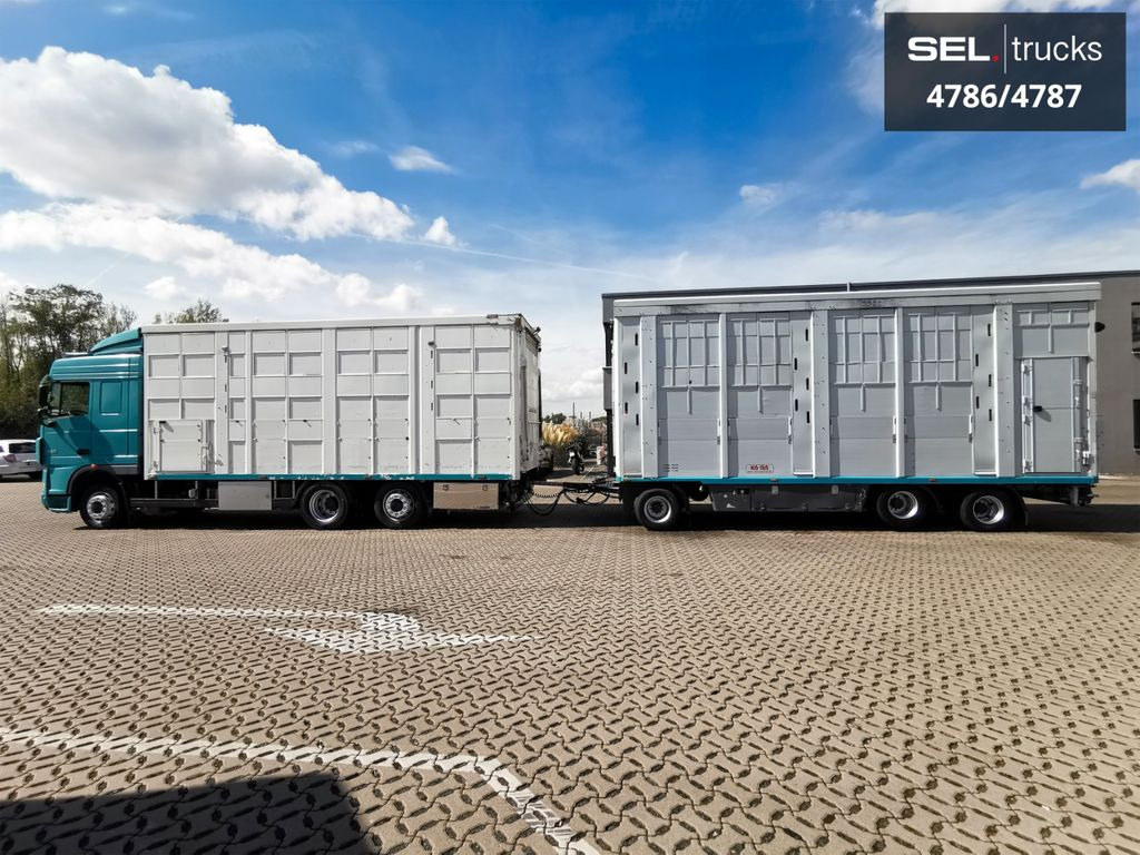 DAF XF 105.460 / Intarder / 4 Stock / KOMPLETT ! - Přepravník zvířat: obrázek 1 DAF XF 105.460 / Intarder / 4 Stock / KOMPLETT ! - Přepravník zvířat: obrázek 1