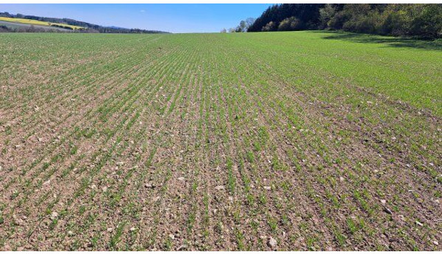 Farmet Falcon 6 PRO Fert+ - Secí kombinace: obrázek 3 Farmet Falcon 6 PRO Fert+ - Secí kombinace: obrázek 3