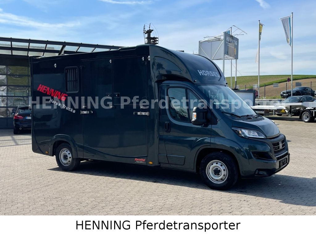 Fiat Ducato 3 - Sitzer *VORFÜHRUNGSFAHRZEUG* - Auto na přepravu koní: obrázek 3 Fiat Ducato 3 - Sitzer *VORFÜHRUNGSFAHRZEUG* - Auto na přepravu koní: obrázek 3
