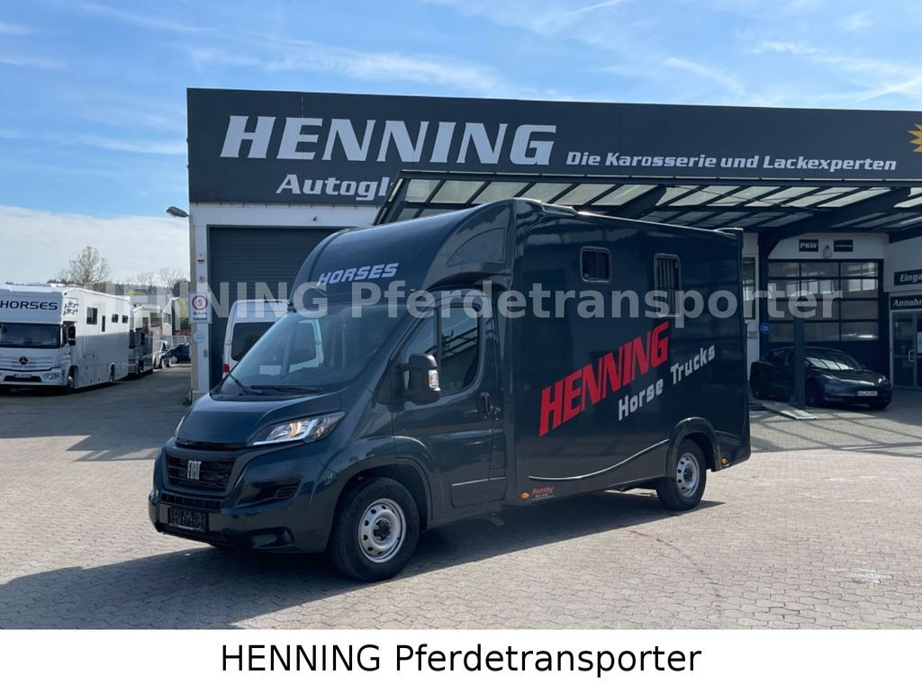 Fiat Ducato 3 - Sitzer *VORFÜHRUNGSFAHRZEUG* - Auto na přepravu koní: obrázek 1 Fiat Ducato 3 - Sitzer *VORFÜHRUNGSFAHRZEUG* - Auto na přepravu koní: obrázek 1