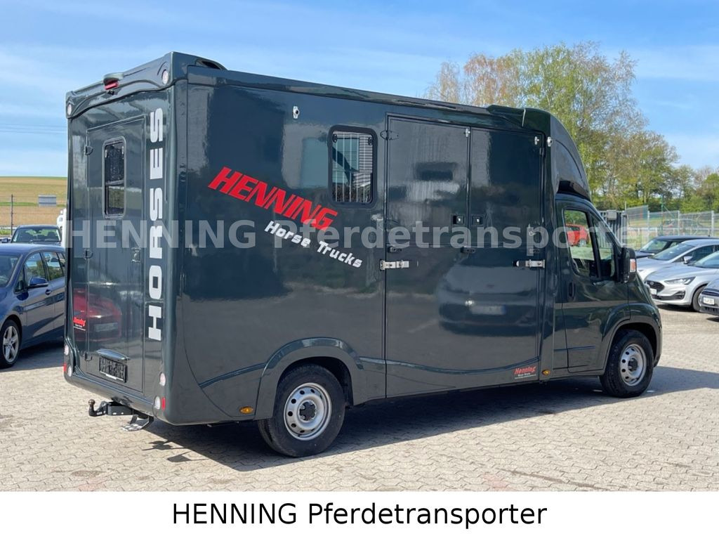 Fiat Ducato 3 - Sitzer *VORFÜHRUNGSFAHRZEUG* - Auto na přepravu koní: obrázek 4 Fiat Ducato 3 - Sitzer *VORFÜHRUNGSFAHRZEUG* - Auto na přepravu koní: obrázek 4