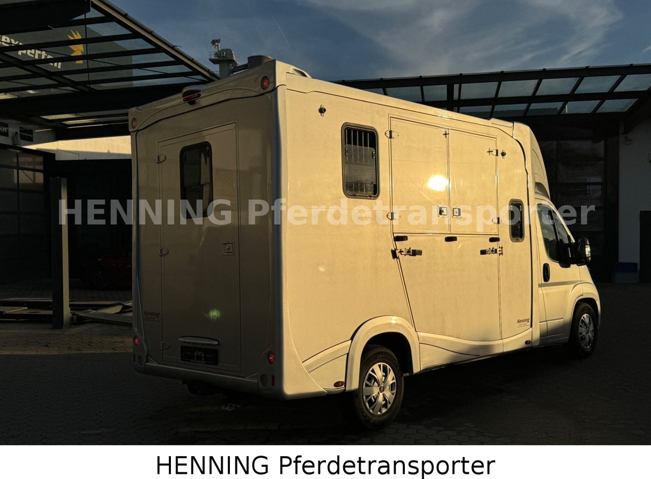 Fiat Ducato 5 - Sitzer PFERDETRANSPORTER - Přepravník zvířat: obrázek 4 Fiat Ducato 5 - Sitzer PFERDETRANSPORTER - Přepravník zvířat: obrázek 4
