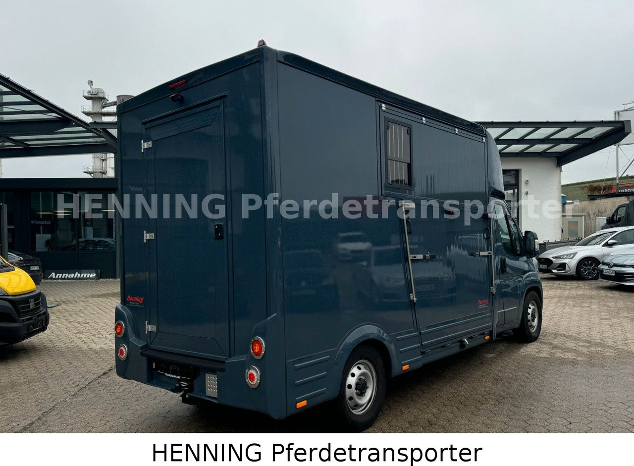 Fiat Ducato *AUTOMATIK* 3 - Sitzer - Přepravník zvířat: obrázek 3 Fiat Ducato *AUTOMATIK* 3 - Sitzer - Přepravník zvířat: obrázek 3