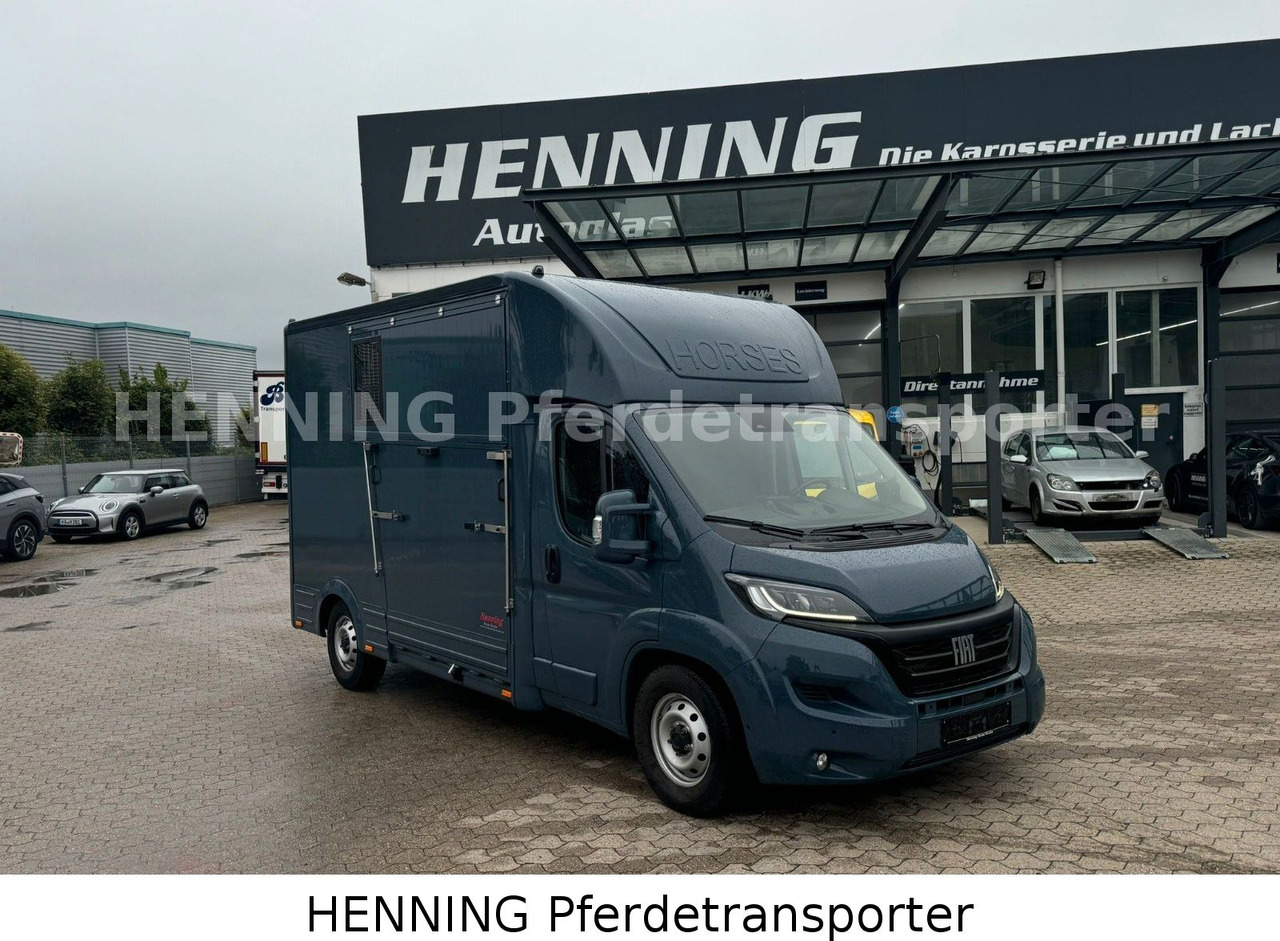 Fiat Ducato *AUTOMATIK* 3 - Sitzer - Přepravník zvířat: obrázek 1 Fiat Ducato *AUTOMATIK* 3 - Sitzer - Přepravník zvířat: obrázek 1
