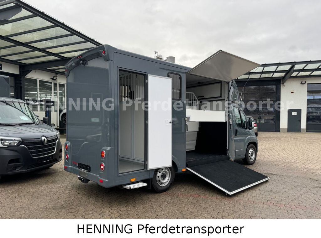 Fiat Ducato *NEUWAGEN* ca.1100 kg Nutzlast - Auto na přepravu koní: obrázek 3 Fiat Ducato *NEUWAGEN* ca.1100 kg Nutzlast - Auto na přepravu koní: obrázek 3