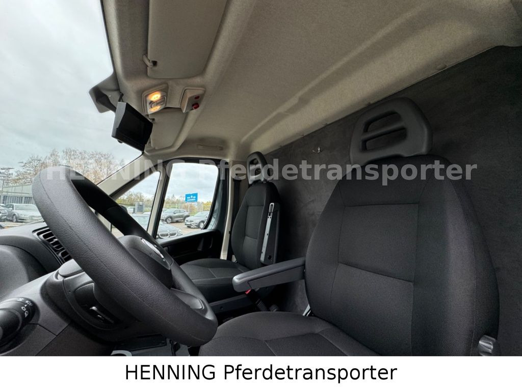 Fiat Ducato *NEUWAGEN* ca.1100 kg Nutzlast  leasing Fiat Ducato *NEUWAGEN* ca.1100 kg Nutzlast: obrázek 14