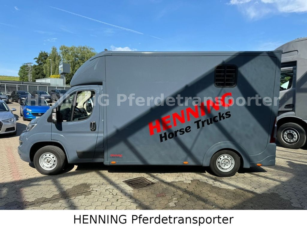 Opel Movano 3 - Sitzer *AUFBAU NEU*  leasing Opel Movano 3 - Sitzer *AUFBAU NEU*: obrázek 10