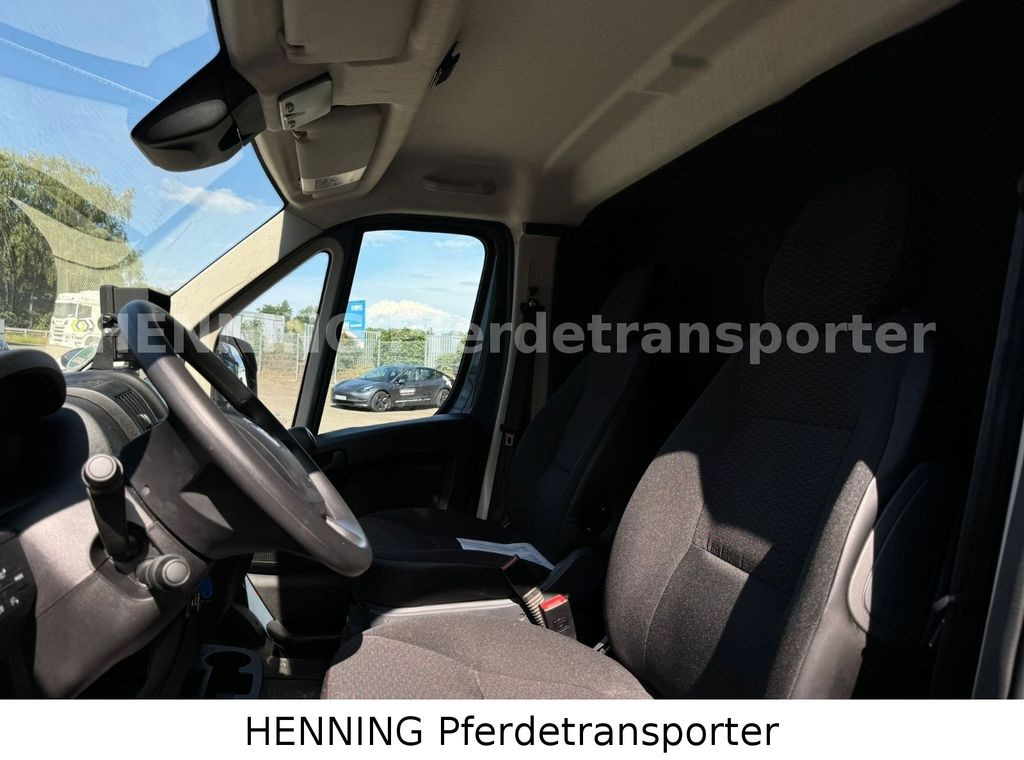 Opel Movano 3 - Sitzer *AUFBAU NEU*  leasing Opel Movano 3 - Sitzer *AUFBAU NEU*: obrázek 11