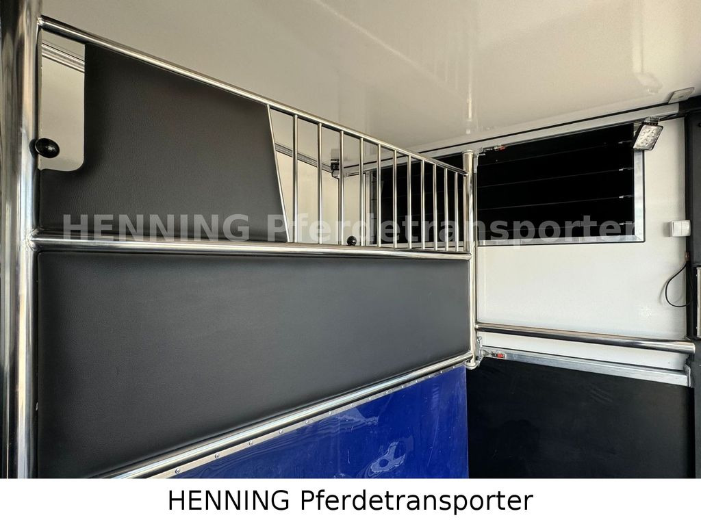 Opel Movano 3 - Sitzer *AUFBAU NEU*  leasing Opel Movano 3 - Sitzer *AUFBAU NEU*: obrázek 6