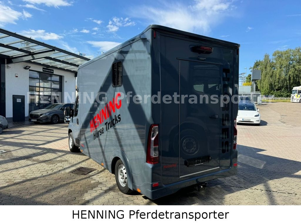 Opel Movano 3 - Sitzer *AUFBAU NEU*  leasing Opel Movano 3 - Sitzer *AUFBAU NEU*: obrázek 8