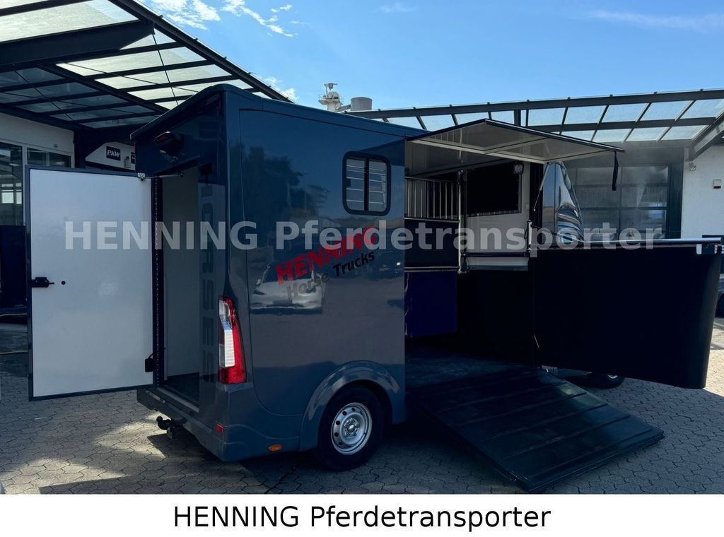 Opel Movano 3 - Sitzer *AUFBAU NEU* - Auto na přepravu koní: obrázek 3 Opel Movano 3 - Sitzer *AUFBAU NEU* - Auto na přepravu koní: obrázek 3