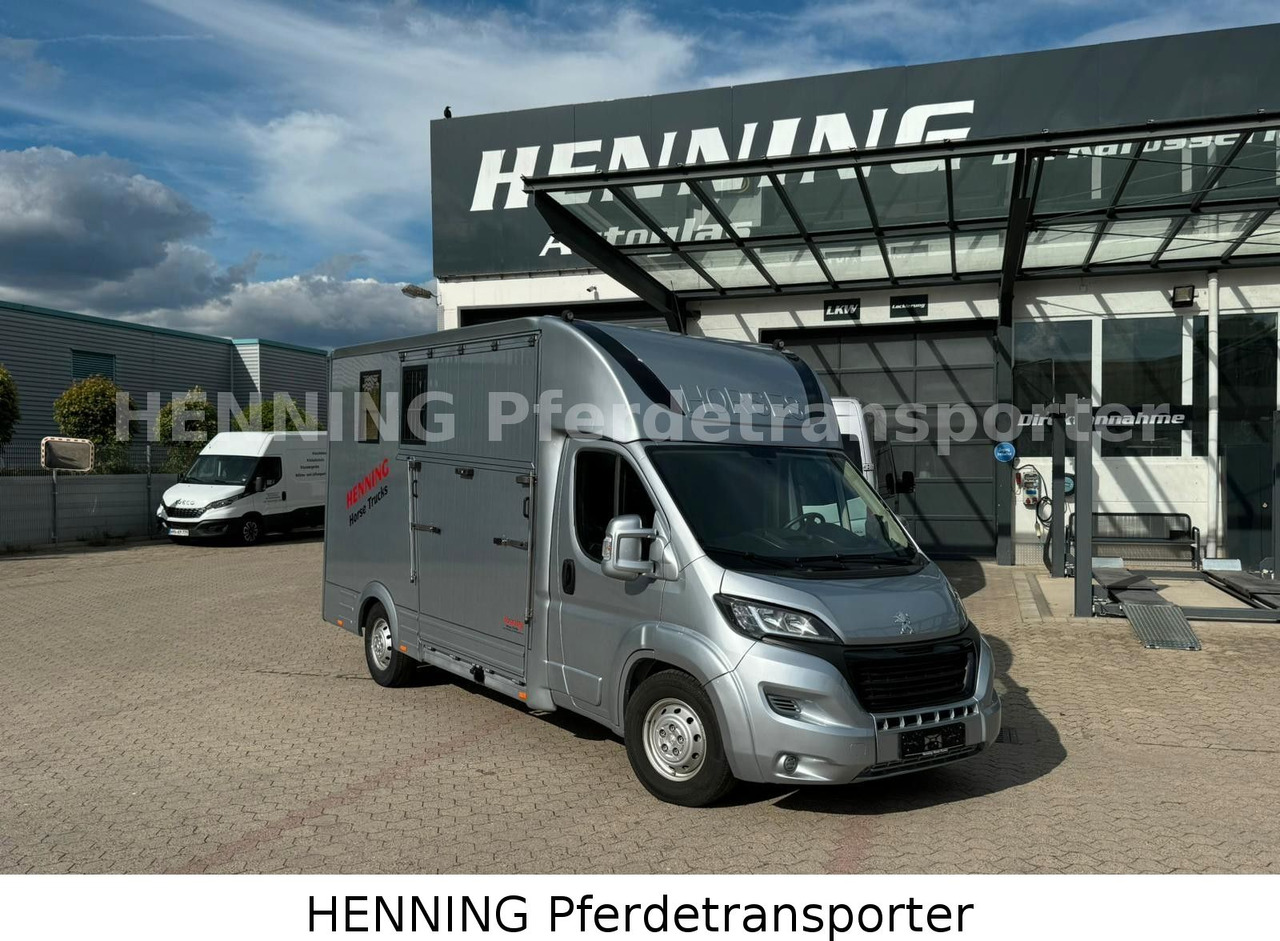 Peugeot Boxer 3 - Sitzer - Přepravník zvířat: obrázek 1 Peugeot Boxer 3 - Sitzer - Přepravník zvířat: obrázek 1
