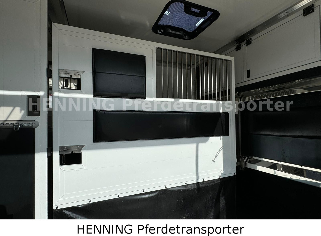 Peugeot Boxer 3 - Sitzer - Přepravník zvířat: obrázek 4 Peugeot Boxer 3 - Sitzer - Přepravník zvířat: obrázek 4