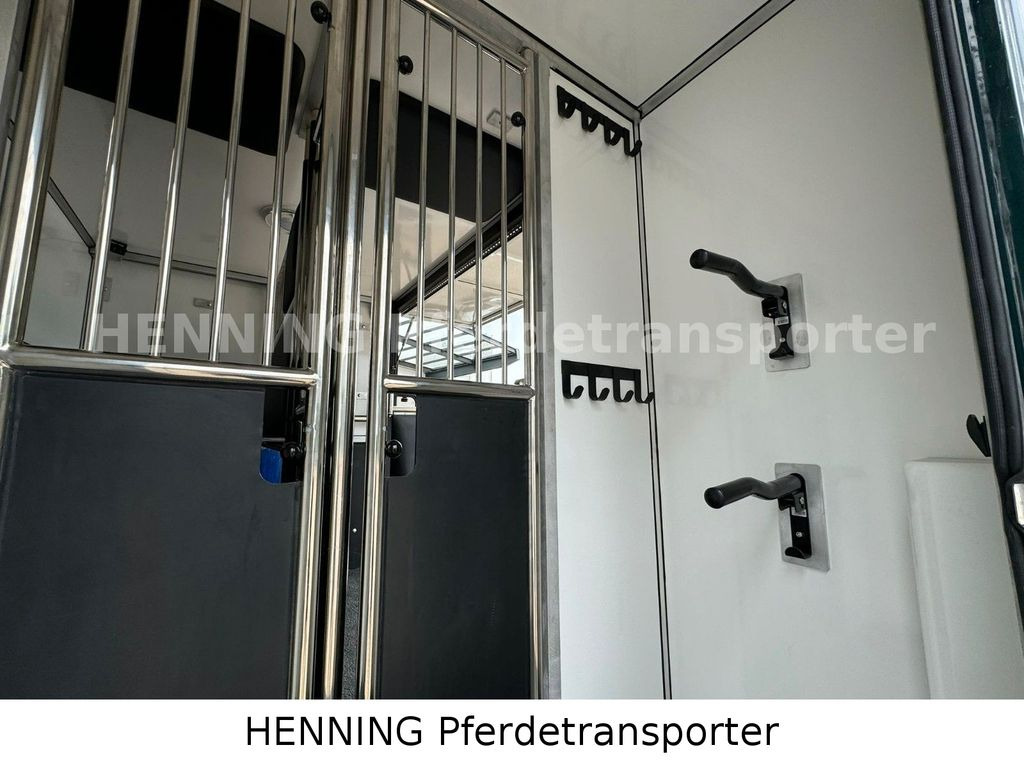 Auto na přepravu koní Renault Master 5 - Sitzer Automatik: obrázek 11 Auto na přepravu koní Renault Master 5 - Sitzer Automatik: obrázek 11