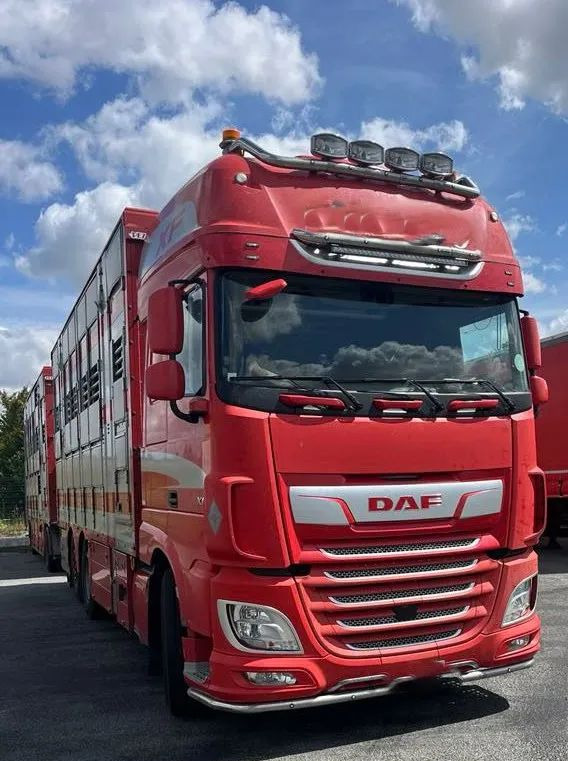 DAF XF 530 + Przyczepa Pezzaoli - 3X Trzoda, 2 X Bydło I 3 poziomy I Podnoszony dach I Hydroburta I Osie Skrętne I Poidła I Wentylatory I Pilot Manualny | - Přepravník zvířat: obrázek 5 DAF XF 530 + Przyczepa Pezzaoli - 3X Trzoda, 2 X Bydło I 3 poziomy I Podnoszony dach I Hydroburta I Osie Skrętne I Poidła I Wentylatory I Pilot Manualny | - Přepravník zvířat: obrázek 5