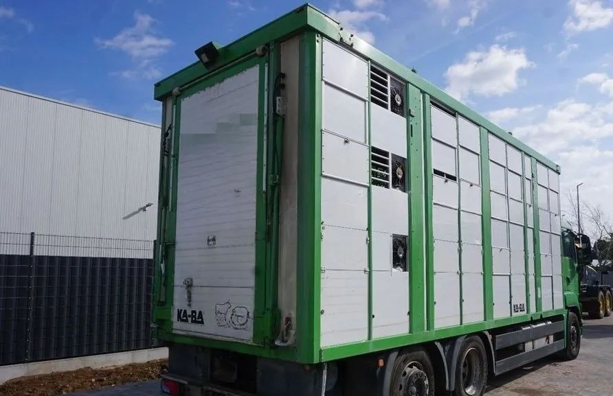 MAN TGS 26.440 ZABUDOWA KABA CAŁA ALUMINIOWA– samochód do transportu zwierząt/koni – 3 pokłady / EURO 5/6X2/PODNOSZONY DACH - Přepravník zvířat: obrázek 2 MAN TGS 26.440 ZABUDOWA KABA CAŁA ALUMINIOWA– samochód do transportu zwierząt/koni – 3 pokłady / EURO 5/6X2/PODNOSZONY DACH - Přepravník zvířat: obrázek 2
