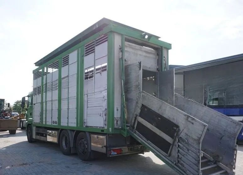 MAN TGS 26.440 ZABUDOWA KABA CAŁA ALUMINIOWA– samochód do transportu zwierząt/koni – 3 pokłady / EURO 5/6X2/PODNOSZONY DACH - Přepravník zvířat: obrázek 4 MAN TGS 26.440 ZABUDOWA KABA CAŁA ALUMINIOWA– samochód do transportu zwierząt/koni – 3 pokłady / EURO 5/6X2/PODNOSZONY DACH - Přepravník zvířat: obrázek 4