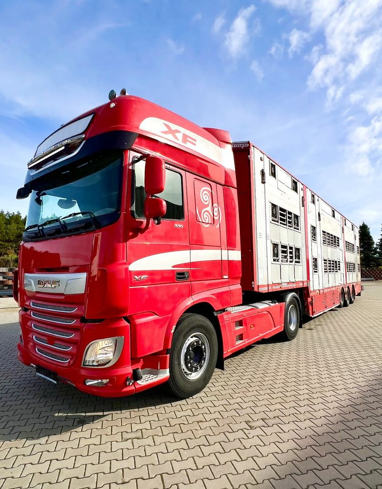 Pezzaioli NACZEPA 2017 / 3 POZIOMY / TRANSPORT ZWIERZĄT / HYDRAULIKA / STEROWANIE PILOTEM/ PODNOSZONY DACH / - Návěs na přepravu zvířat: obrázek 5 Pezzaioli NACZEPA 2017 / 3 POZIOMY / TRANSPORT ZWIERZĄT / HYDRAULIKA / STEROWANIE PILOTEM/ PODNOSZONY DACH / - Návěs na přepravu zvířat: obrázek 5