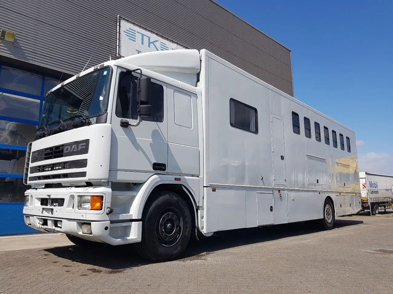DAF 95.350 Paardenwagen met zitverblijf 7 paarden 7 horses - Auto na přepravu koní: obrázek 1 DAF 95.350 Paardenwagen met zitverblijf 7 paarden 7 horses - Auto na přepravu koní: obrázek 1