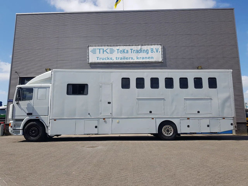 DAF 95.350 Paardenwagen met zitverblijf 7 paarden 7 horses - Auto na přepravu koní: obrázek 3 DAF 95.350 Paardenwagen met zitverblijf 7 paarden 7 horses - Auto na přepravu koní: obrázek 3