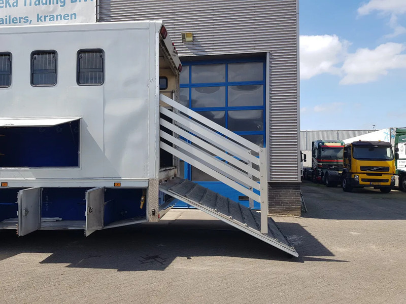 DAF 95.350 Paardenwagen met zitverblijf 7 paarden 7 horses - Auto na přepravu koní: obrázek 5 DAF 95.350 Paardenwagen met zitverblijf 7 paarden 7 horses - Auto na přepravu koní: obrázek 5